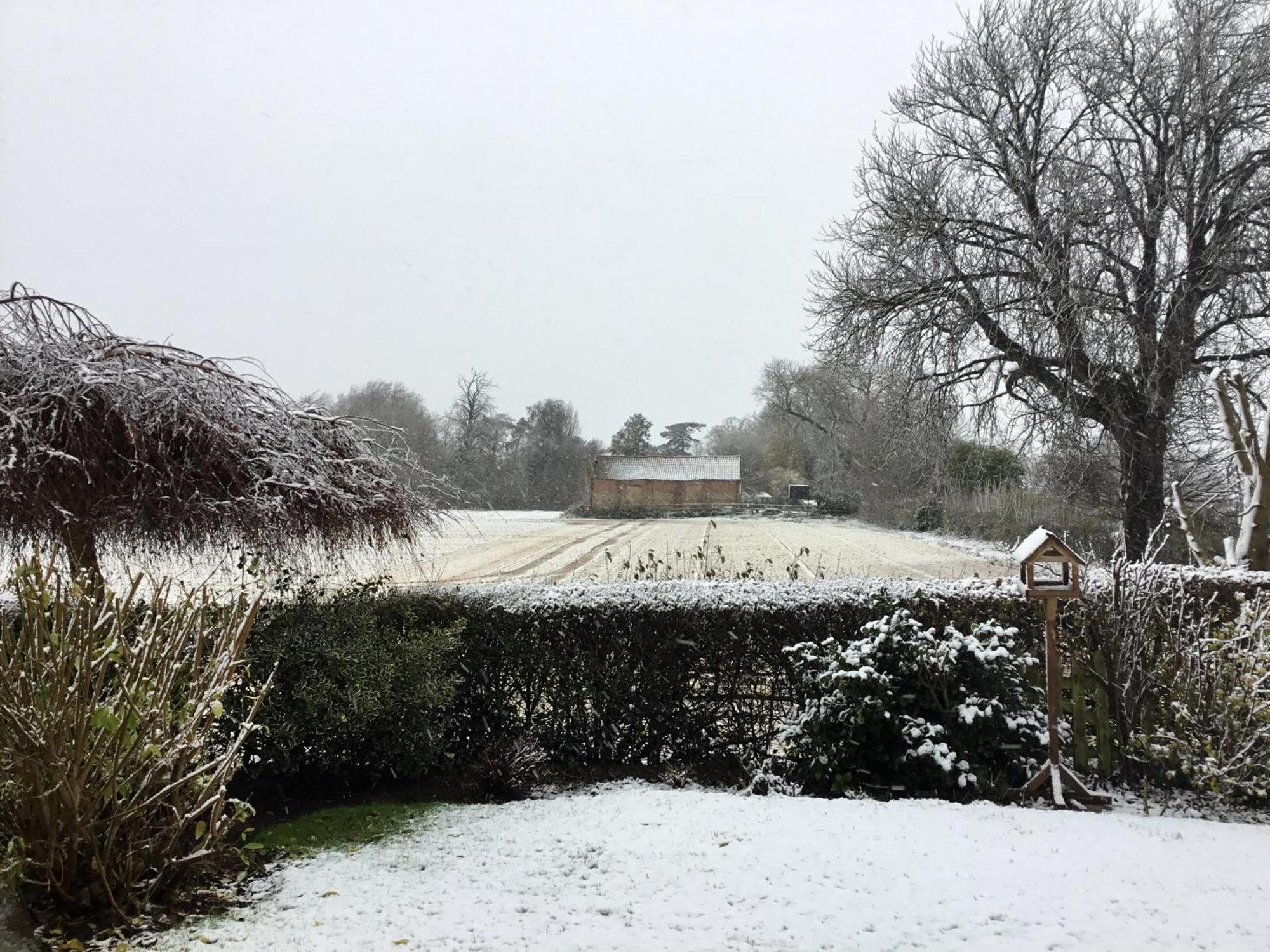 Greenbank Cottage Hilgay Exterior foto